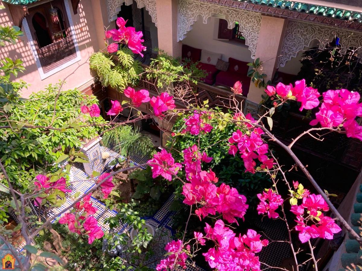 Riad Toyour- Riad Of Birds Fès Exteriör bild