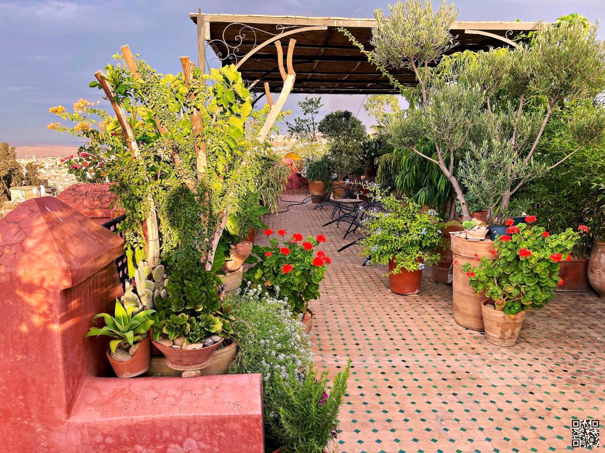 Riad Toyour- Riad Of Birds Fès Exteriör bild