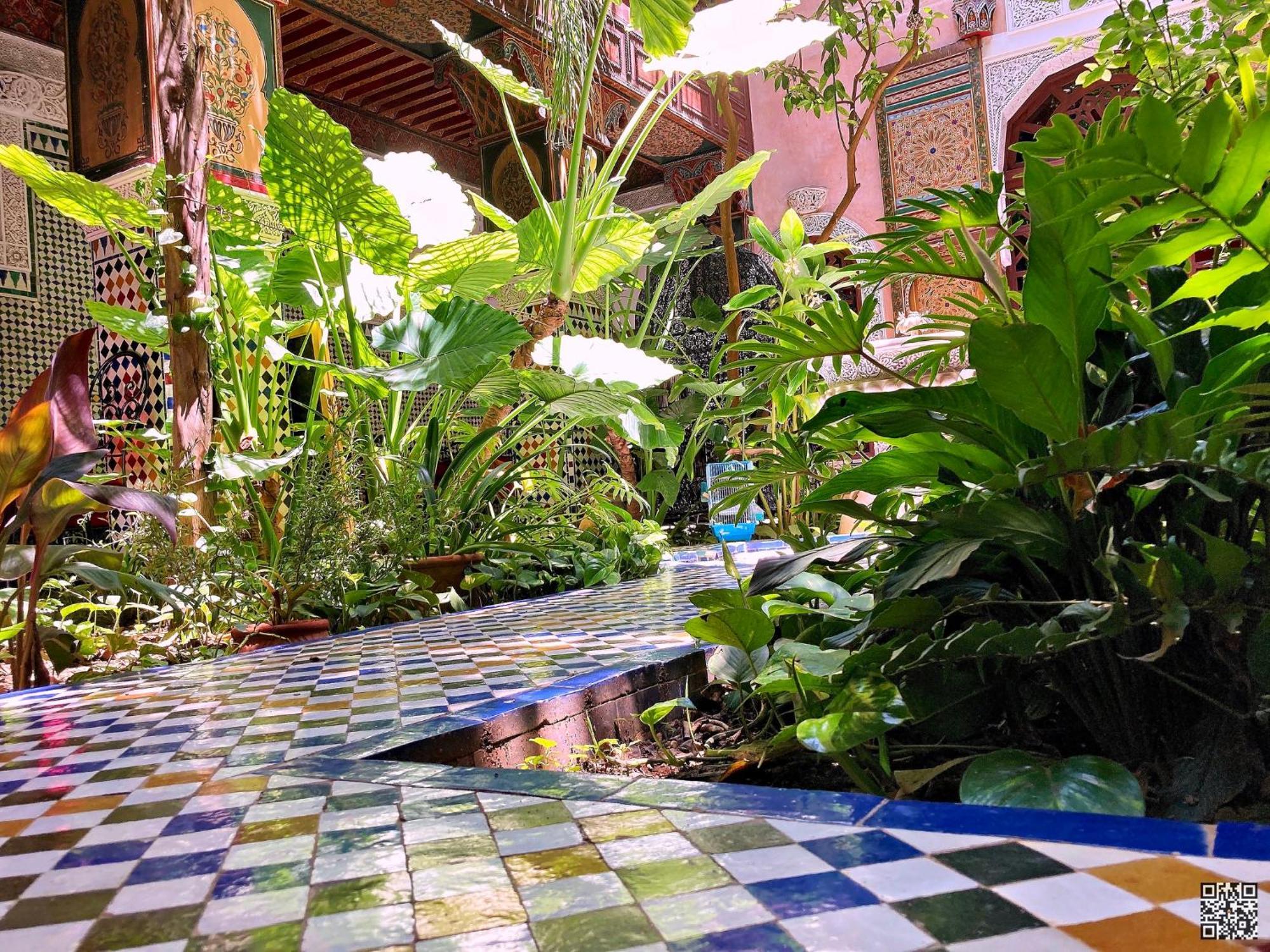 Riad Toyour- Riad Of Birds Fès Exteriör bild