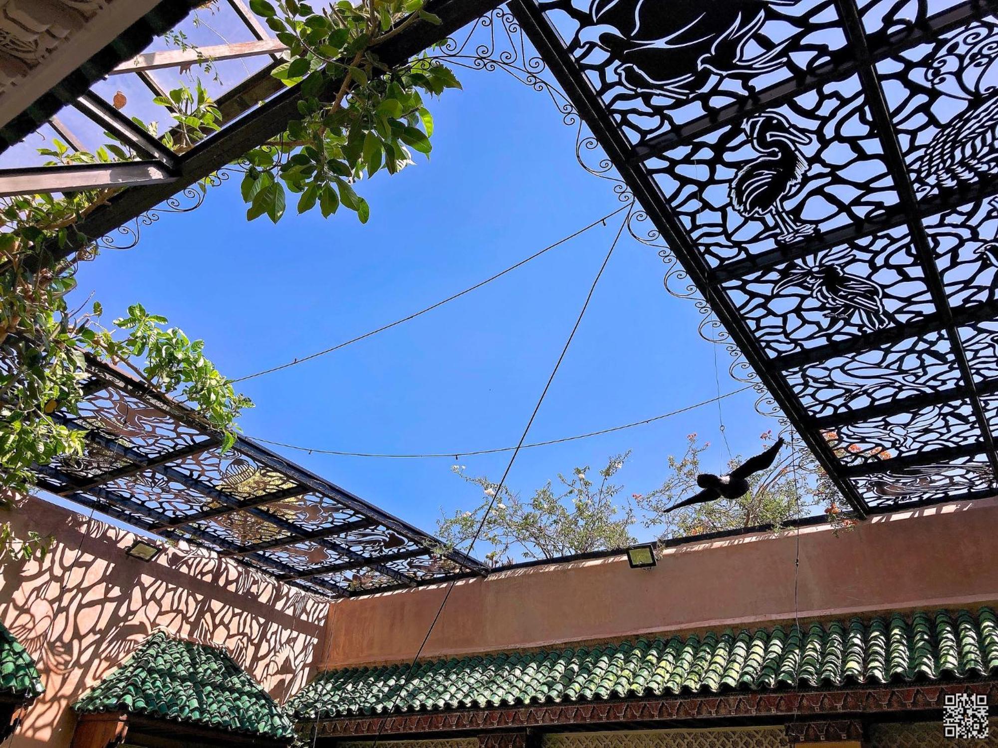 Riad Toyour- Riad Of Birds Fès Exteriör bild