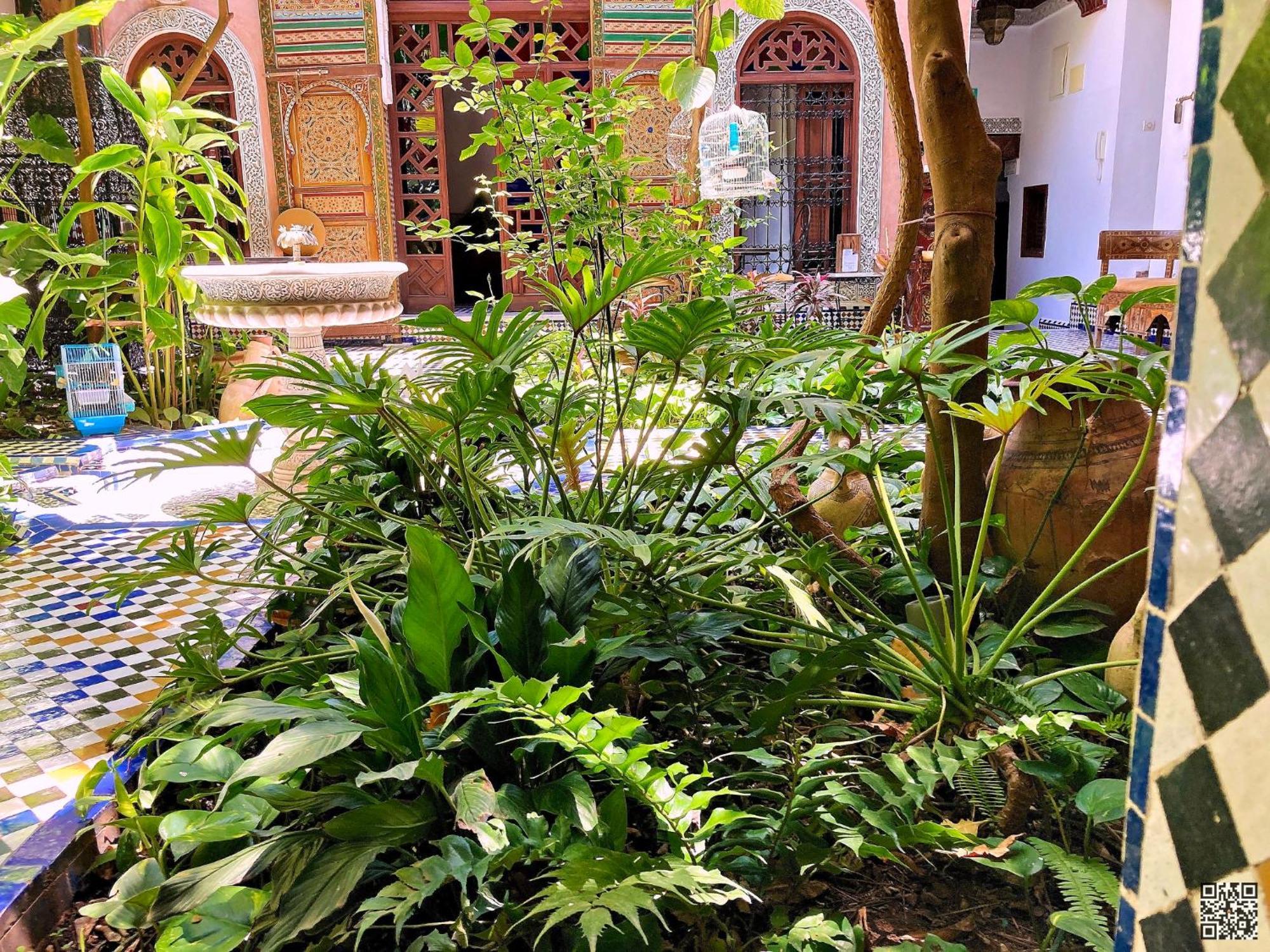 Riad Toyour- Riad Of Birds Fès Exteriör bild