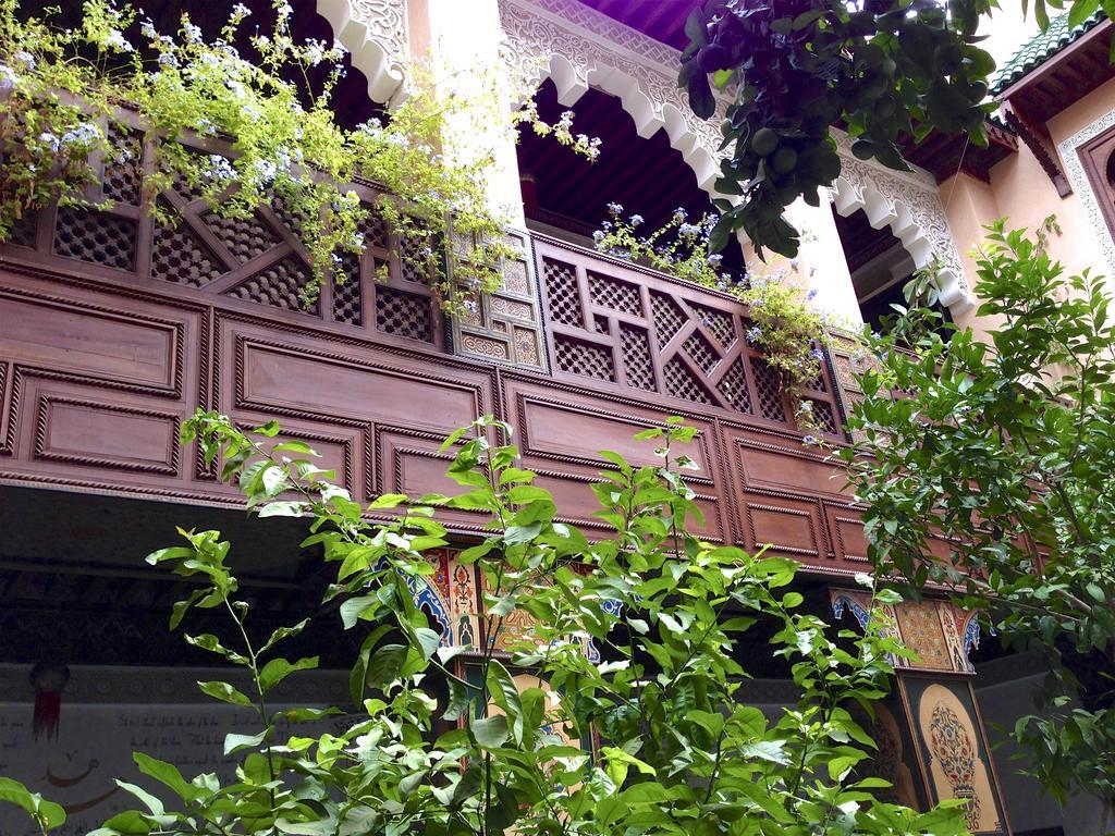 Riad Toyour- Riad Of Birds Fès Exteriör bild